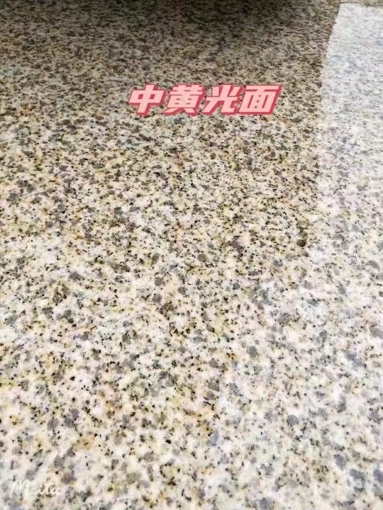 运城黄金麻中黄光面