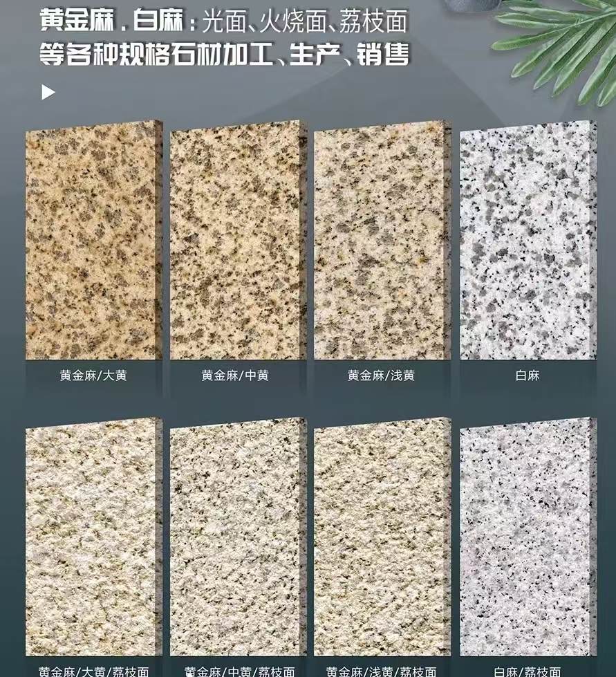 运城 黄金麻白麻样品展示